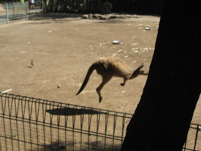 8. In mid -air  What a Shot