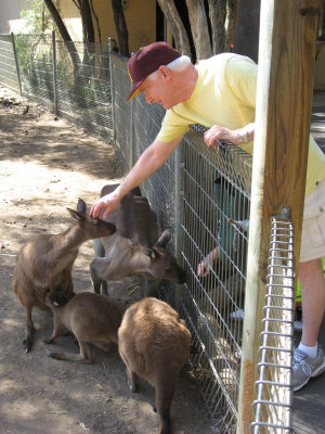 9. Bob - The animal lover
