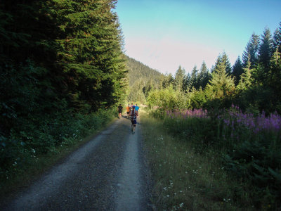 Wildflowers were blooming everywhere