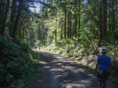 Running through beautiful forest the last 4-5 miles