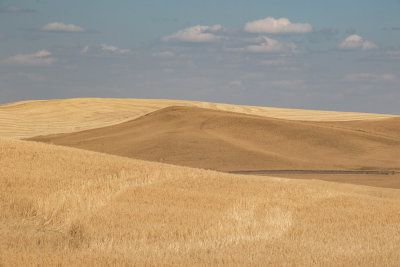 Montana - August/September 2018