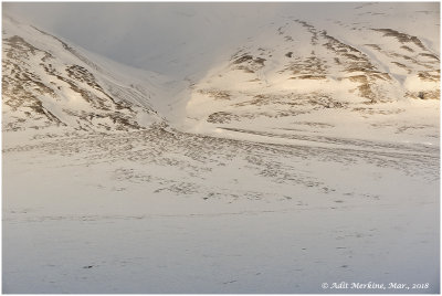 Landscape - Longyearbyen vicinity