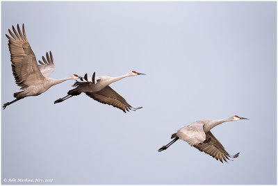 Flight shots