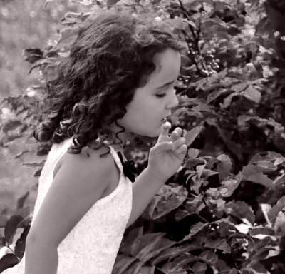 Girl in hedge