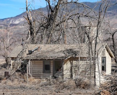 w Dyer shack house brush det.jpg