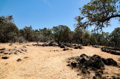 Paradise Ridge burned area