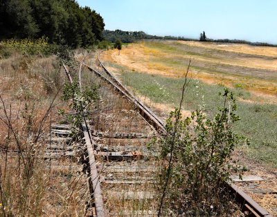 Old Healdsburg tracks spur
