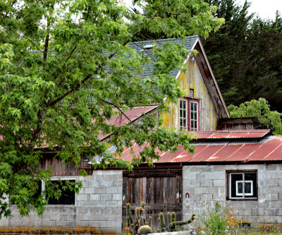 Bloomfield windowed barn
