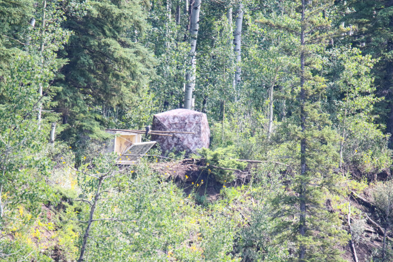 FOLDER 2018 Pembina peregrines