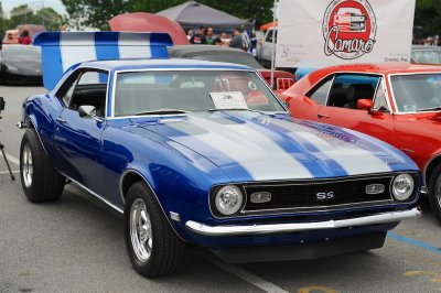 BLC_0220.jpg