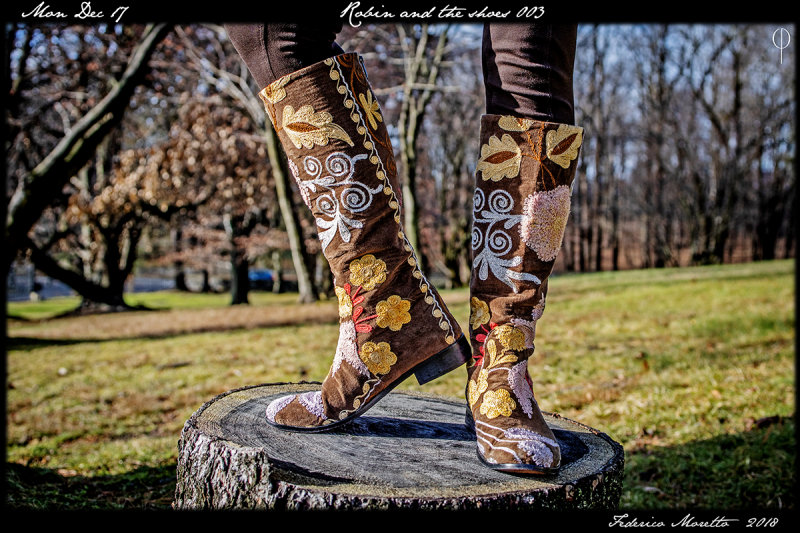 The_Shoes003.jpg