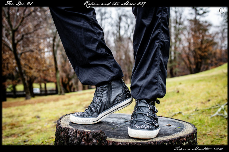 The_Shoes007.jpg