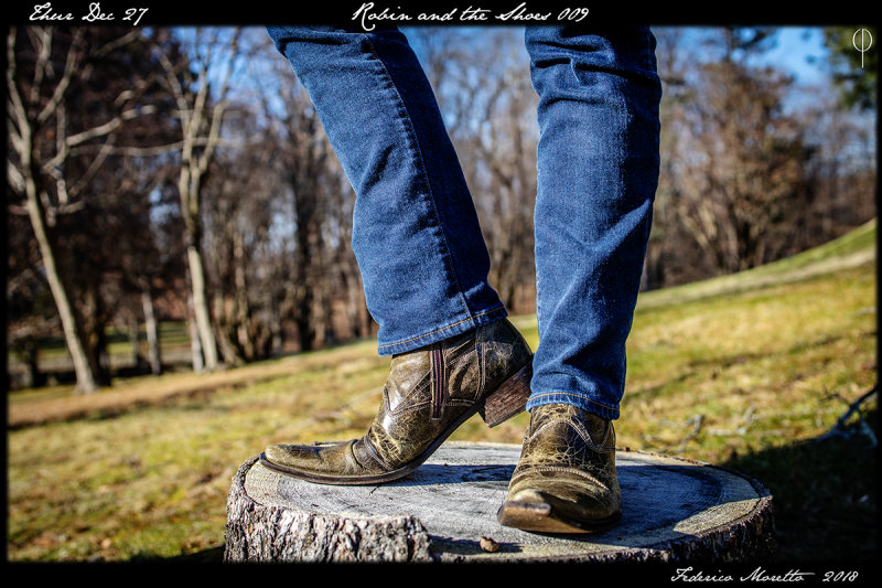The_Shoes009.jpg