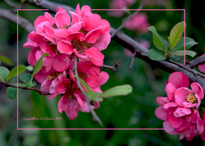 Suddenly it's Spring 
