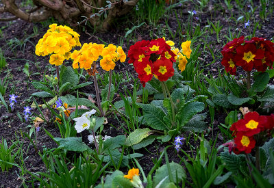 Spring and the earth comes to life. 