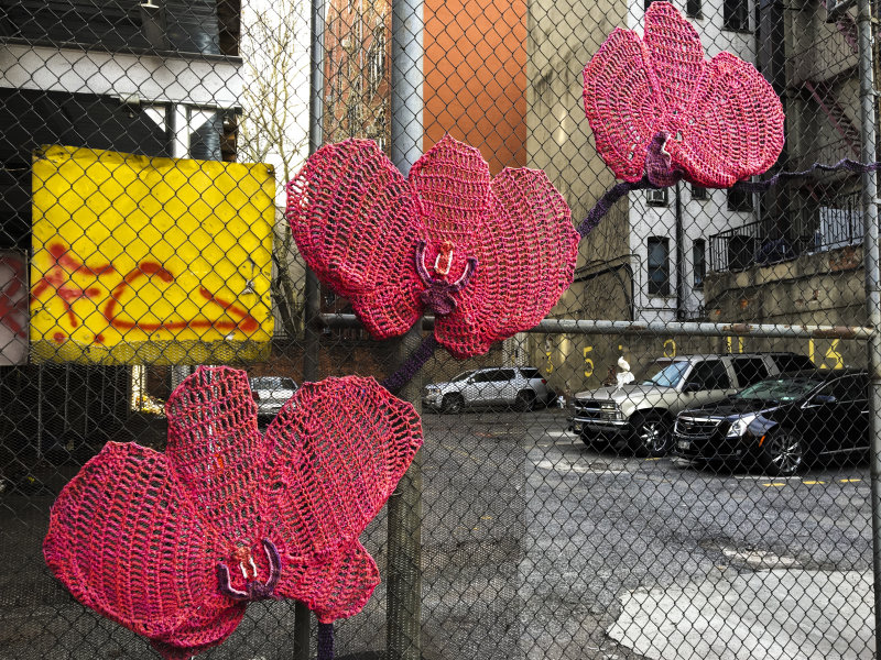 Faces and Places of East Harlem