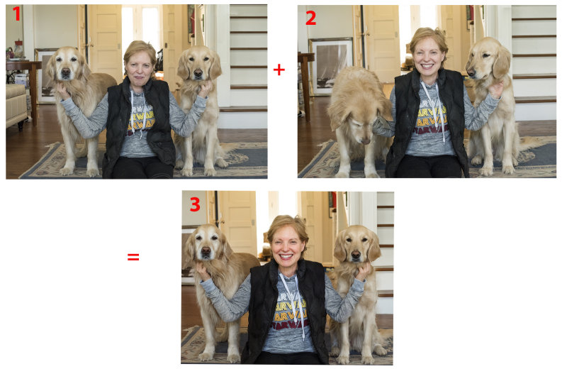 Woman with Dogs.jpg