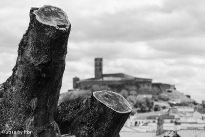 La Mezquita de Almonaster la Real II bw 2018-04-28