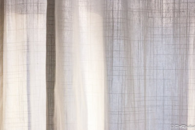 Reflected Sunflight on Drape