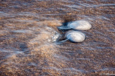 Two Stones