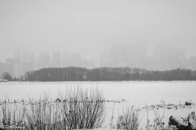 Snowfall in Tommy Thompson Park I