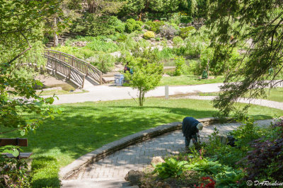 Garden Work