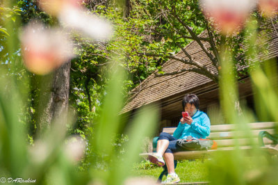 Texting in Edwards Gardens