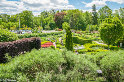 Toronto Botaical Gardens I