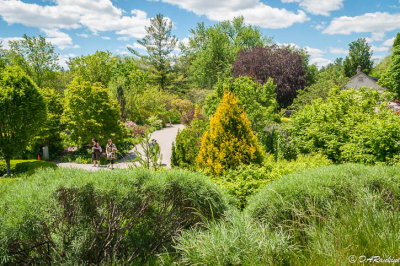 Toronto Botanical Gardens II