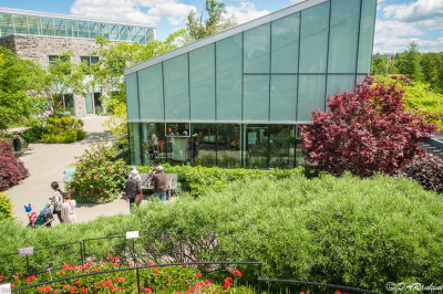 Toronto Botanical Gardens IV