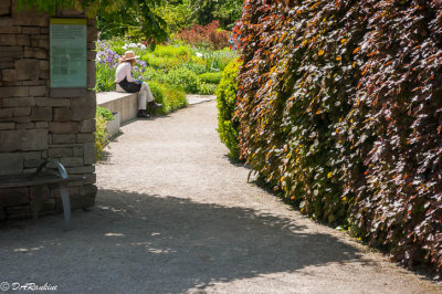 Artist At Rest