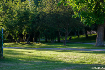 Sitting in the park