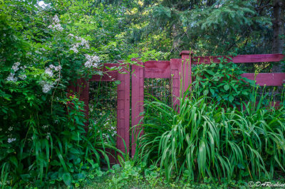 Red Gate and Roses