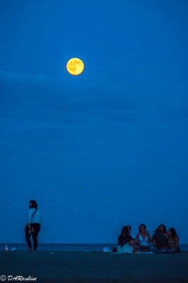 Moonlight At the Beach