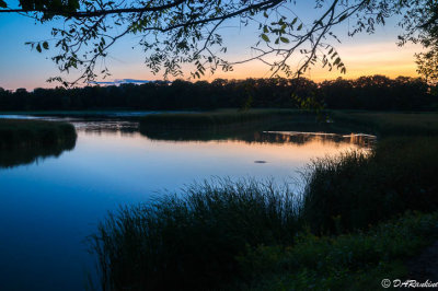 Twilight On the Marsh