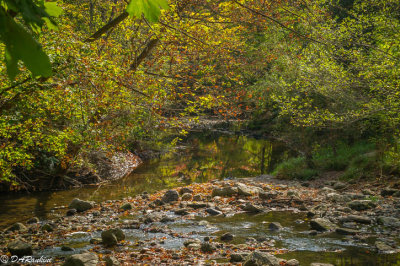 Wilket Creek In Early Autumn