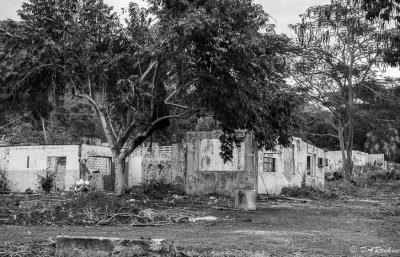 Ruins of Funland
