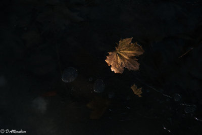 g10/01/709301/3/166902618.EESr8W5s.jpg