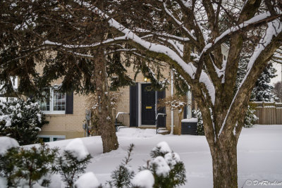Snow up to the door
