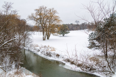 The Golf Course in Snow