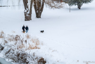 Walking the Golf Course