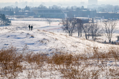 Photographers In Search of Owls
