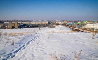 At the edge of the park
