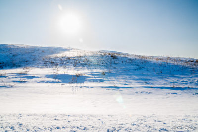 The Winter Sun