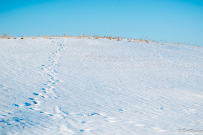 Footprints