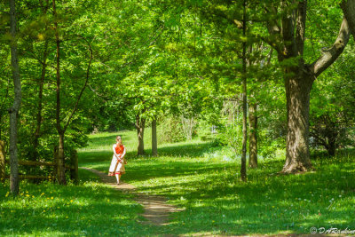 A Quiet Walk II