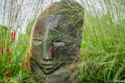 Ancestor