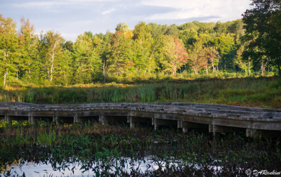 Boardwalk to the Other Side II