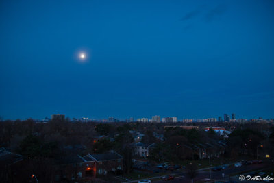 Morning in North York