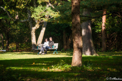 Sitting In the Park